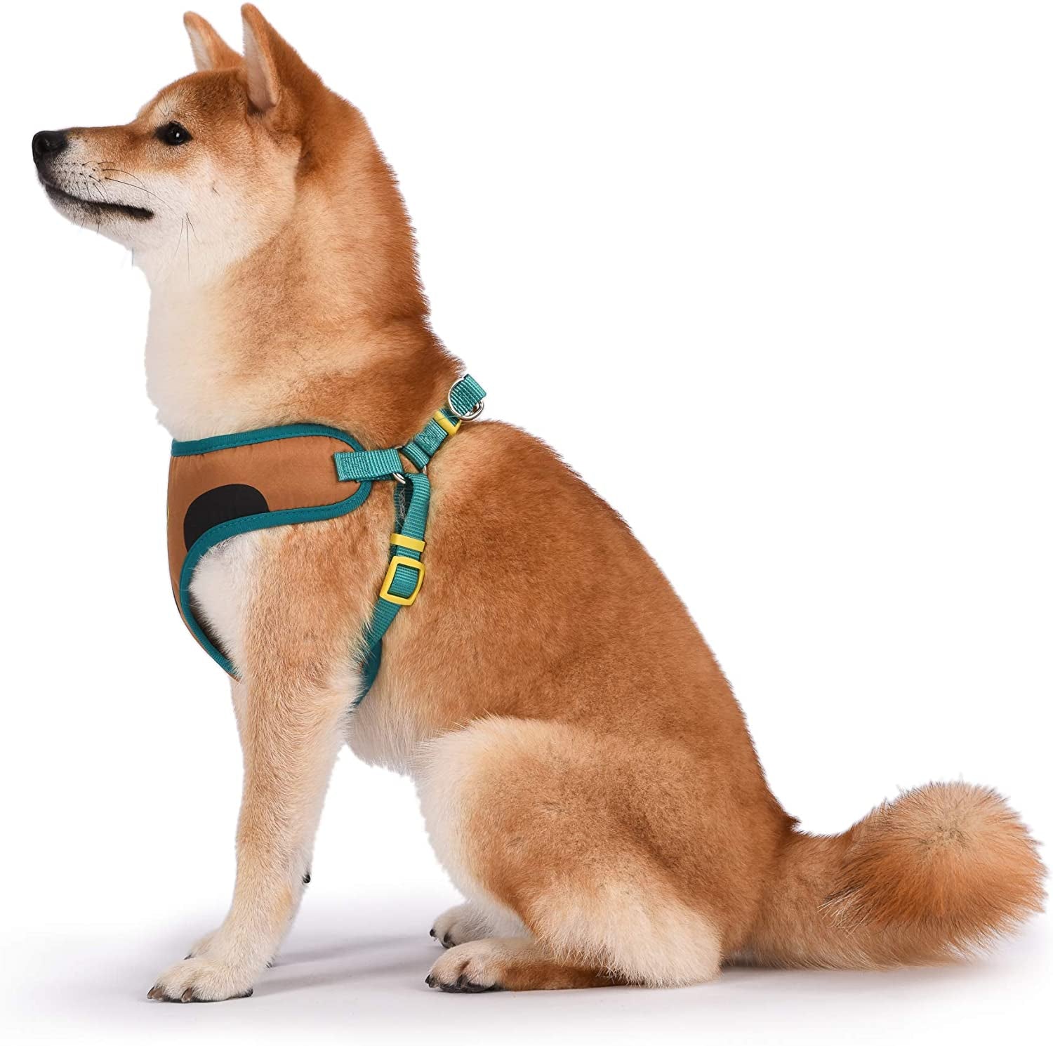 Warner Brothers  Dog Harness | Soft and Comfortable Small Dog Harness | Scooby Doo Dog Harness No Pull Tan and Blue Dog Harness | Cute Dog Harnesses for Small Dogs