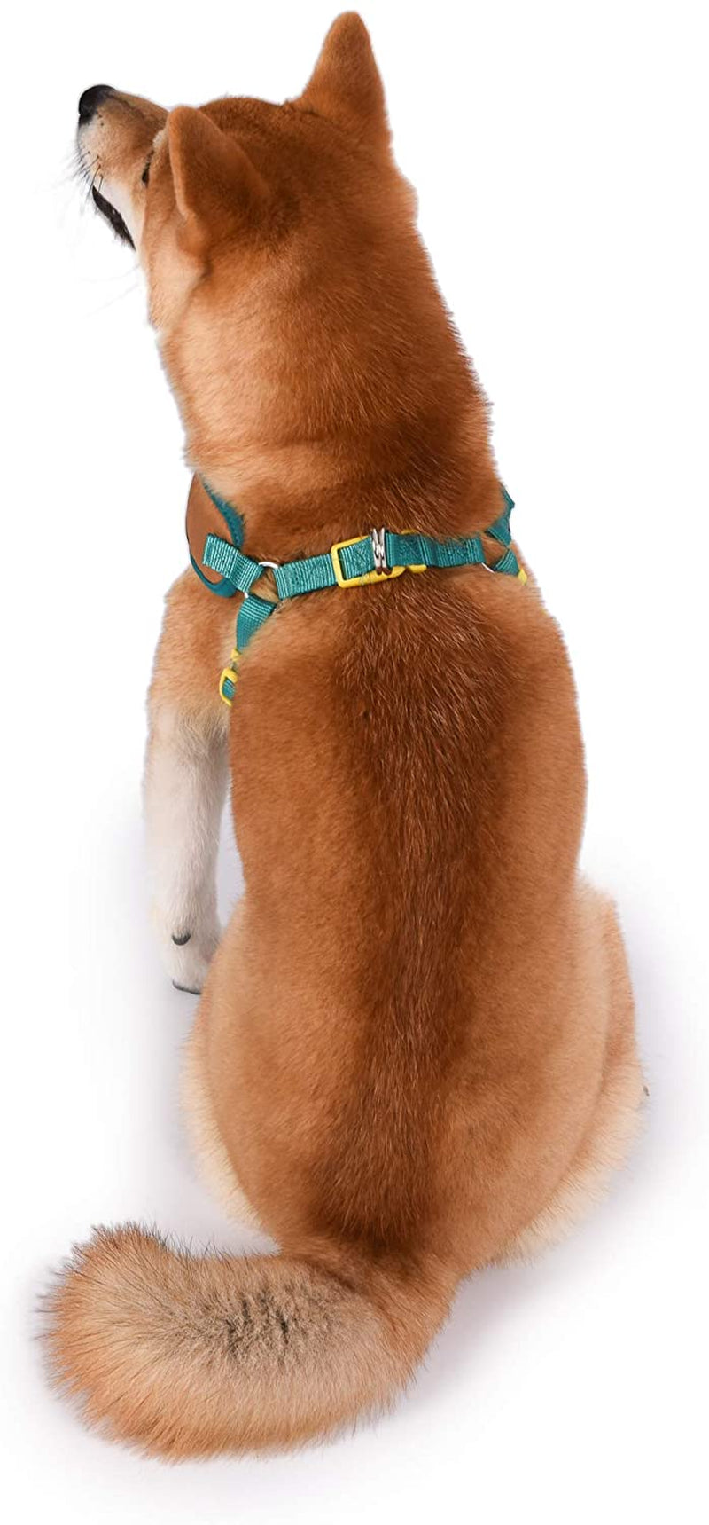 Warner Brothers  Dog Harness | Soft and Comfortable Small Dog Harness | Scooby Doo Dog Harness No Pull Tan and Blue Dog Harness | Cute Dog Harnesses for Small Dogs